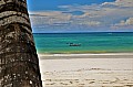 008 Diani