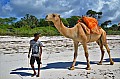 009 Diani