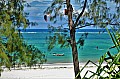 012 Diani
