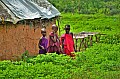 023 Masai village