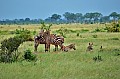 039 Tsavo East NP