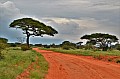 050 Tsavo East NP