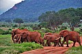 062 Tsavo East NP