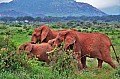 063 Tsavo East NP