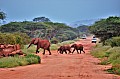 074 Tsavo East NP