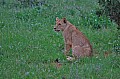 076 Tsavo East NP
