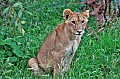 078 Tsavo East NP
