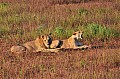 094 Tsavo East NP
