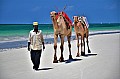 120 Diani