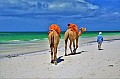 121 Diani