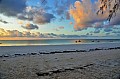 124 Diani