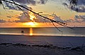 126 Diani