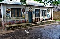 137 Wasini island