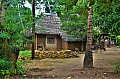 173 Ukunda jungle village