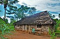 177 Ukunda jungle village