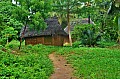 182 Ukunda jungle village