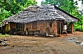 183 Ukunda jungle village