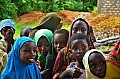 185 Ukunda jungle village