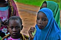 189 Ukunda jungle village