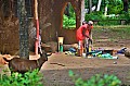 192 Ukunda jungle village