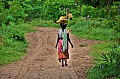 202 Ukunda jungle village
