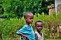 203 Ukunda jungle village