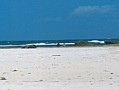 007 Kenya Watamu-Malindi