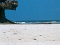 008 Kenya Watamu-Malindi