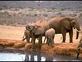 048 Kenya Parco Tsavo