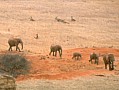 049 Kenya Parco Tsavo