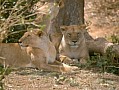 054 Kenya Parco Tsavo