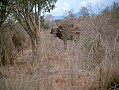 057 Kenya Parco Tsavo