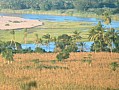 060 Kenya Parco Tsavo