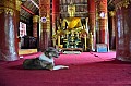 036 Luang Prabang