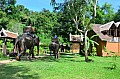 083 Elephant Village