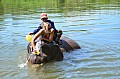 084 Elephant Village