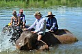 085 Elephant Village