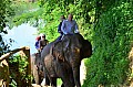 087 Elephant Village