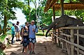 089 Elephant Village