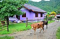 125 Vang Vieng