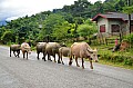 128 Vang Vieng