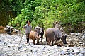 147 Vang Vieng