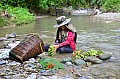 149 Vang Vieng