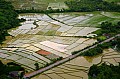 154 Vang Vieng