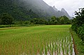 159 Vang Vieng