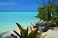 021 Maldive