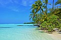 022 Maldive