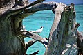 024 Maldive