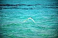 025 Maldive