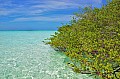026 Maldive